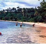 Timeless Taveuni: Finding Nemo & Fijian Bula
