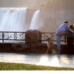 Ontario’s Niagara Falls Still Exudes Romance