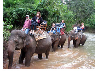 elephant ride Khao Yai National Park Thailand