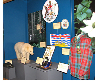 tartan in museum showcase