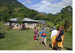 Fiji village