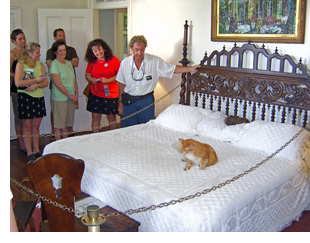 Cat on Hemingway's bed in Key West