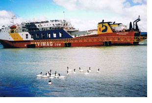 patagonia ship