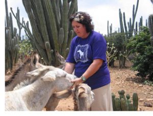 Desiree Eldering cares for and feeds the donkeys