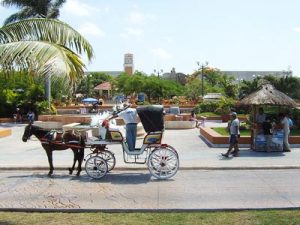 Horse-drawn carriage in Cozumel, Yucatan