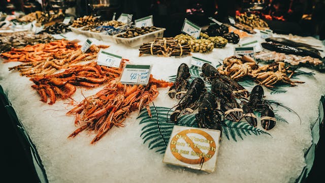 Fresh seafood on ice in a market.