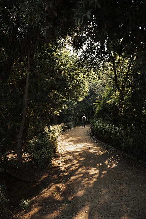 A tree-covered hiking trail with dappled sunlight and a lone hiker walking down the path.