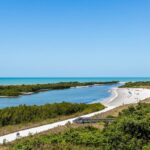 Florida’s Best Spots for Kayaking Through Mangroves